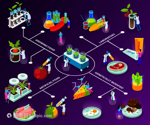 探索未來食物 人工食品的等距流程圖與科學實驗之紫色背景矢量解析