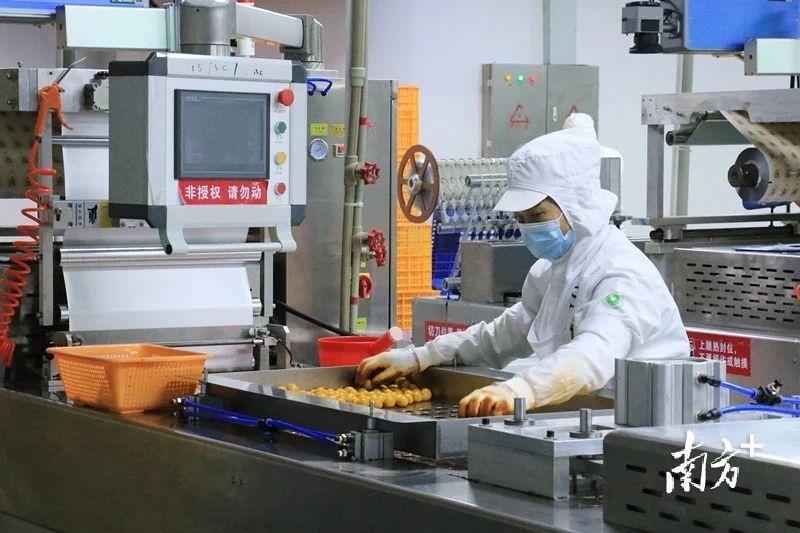 潮聲回響丨期待潮州輸出更多食品工業發展經驗